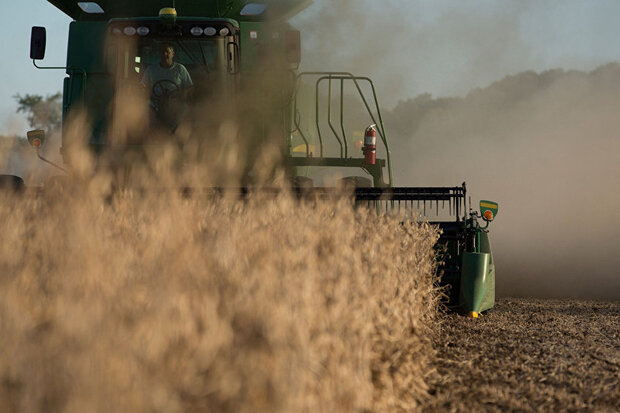 قیمت خرید محصولات کشاورزی آمریکا با نگرانی از تقاضای چین سقوط کرد